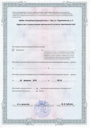 Лицензия 3